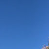 townsend_r